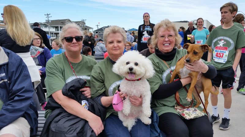 From left, sisters Judy, Anne and Eileen Donovan and their dogs Myrtlemae and Scarlet took part in the walk.