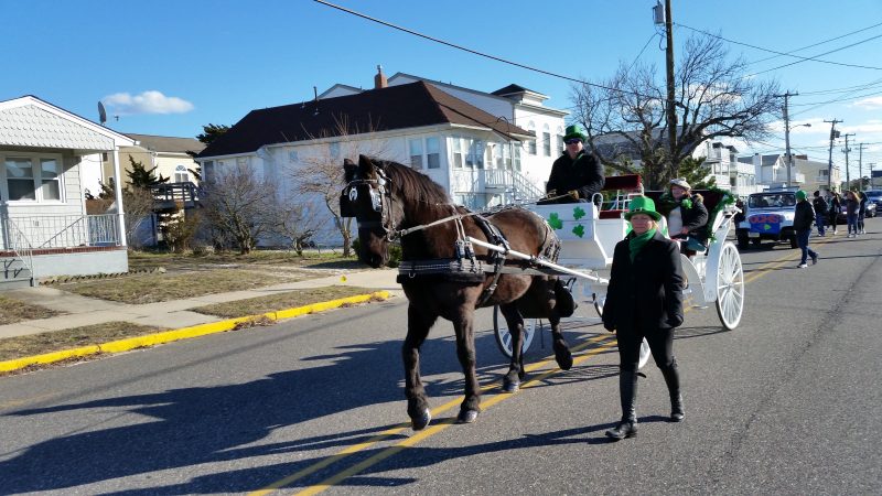 A horse-drawn carriage decorated with shamrocks was one of the parade attractions.