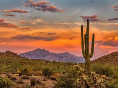 The 10 Best Places to Live in Arizona in 2024